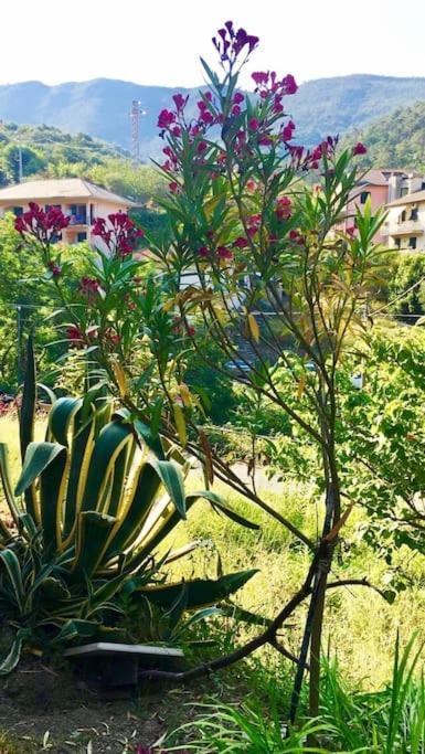 La Casa Novella, A 450 Metri Dal Mare Apartment Монеглия Екстериор снимка