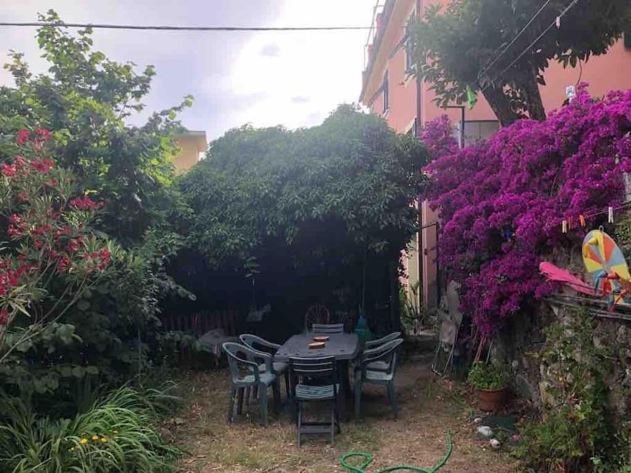 La Casa Novella, A 450 Metri Dal Mare Apartment Монеглия Екстериор снимка